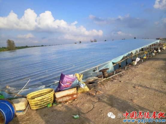 中國養殖基地 yzjidi.com