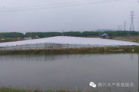 中國養殖基地 yzjidi.com