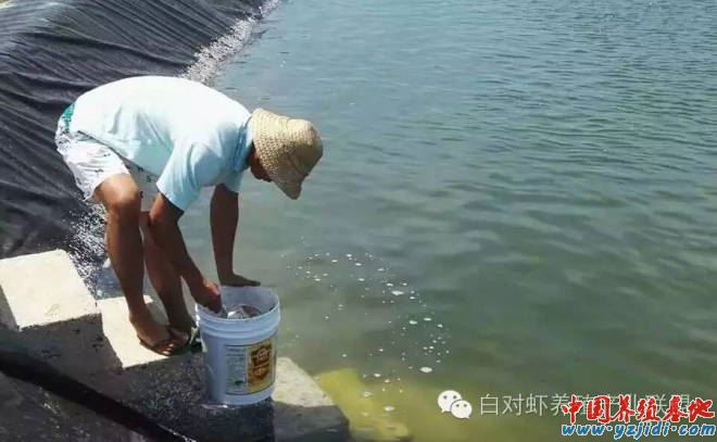 中國養殖基地 yzjidi.com