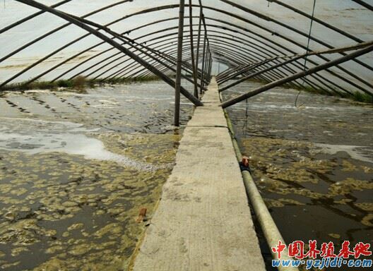中國養殖基地 yzjidi.com