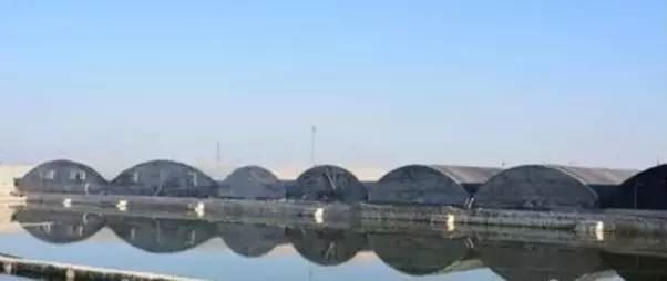 中國養殖基地 yzjidi.com