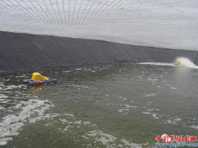 中國養殖基地 yzjidi.com