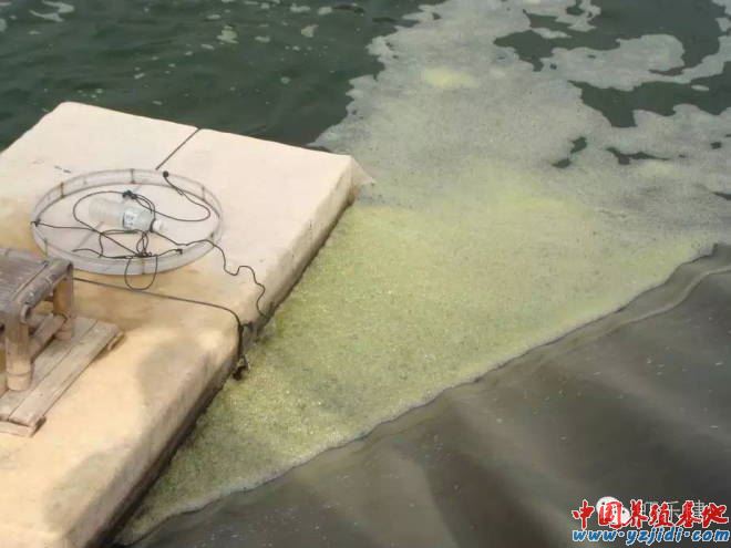 中國養殖基地 yzjidi.com