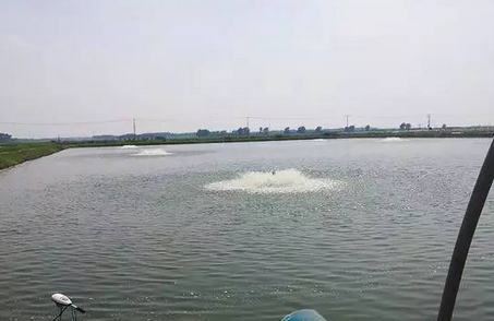 中國養殖基地 yzjidi.com