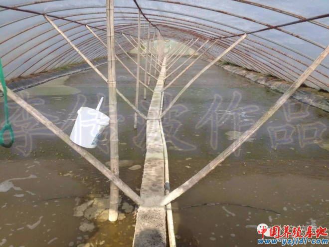 中國養殖基地 yzjidi.com