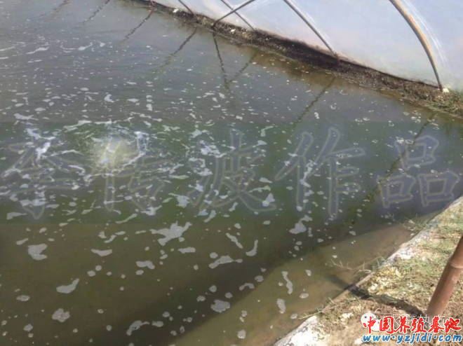 中國養殖基地 yzjidi.com