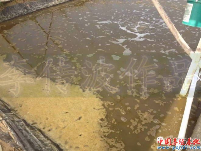 中國養殖基地 yzjidi.com