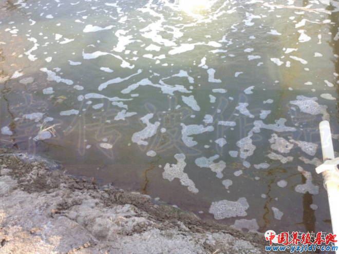 中國養殖基地 yzjidi.com