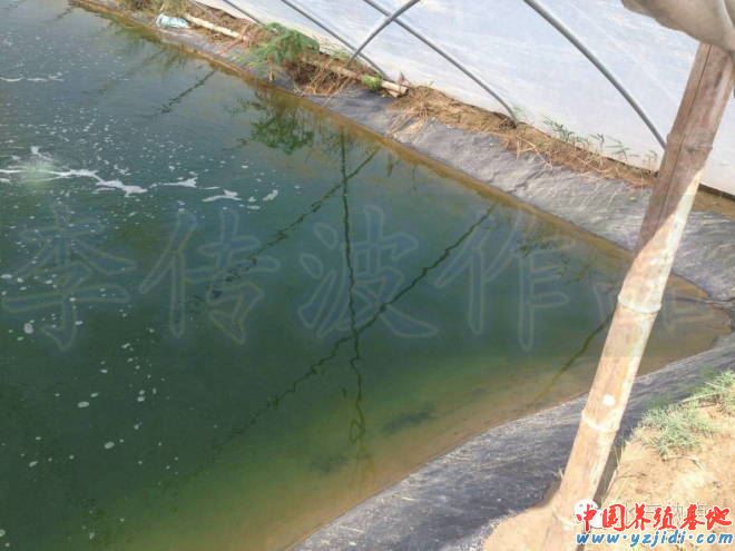 中國養殖基地 yzjidi.com