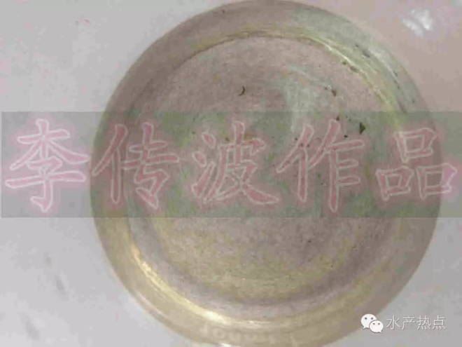 中國養殖基地 yzjidi.com