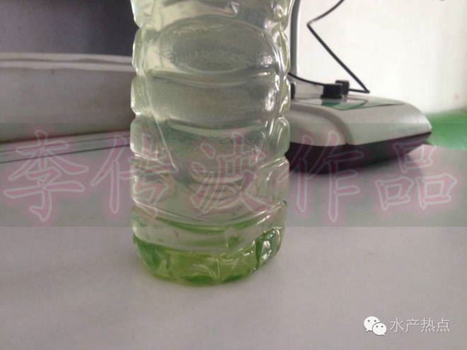 中國養殖基地 yzjidi.com