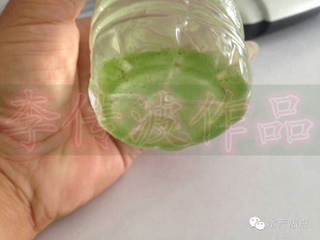 中國養殖基地 yzjidi.com