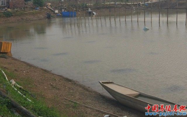 中國養殖基地 yzjidi.com