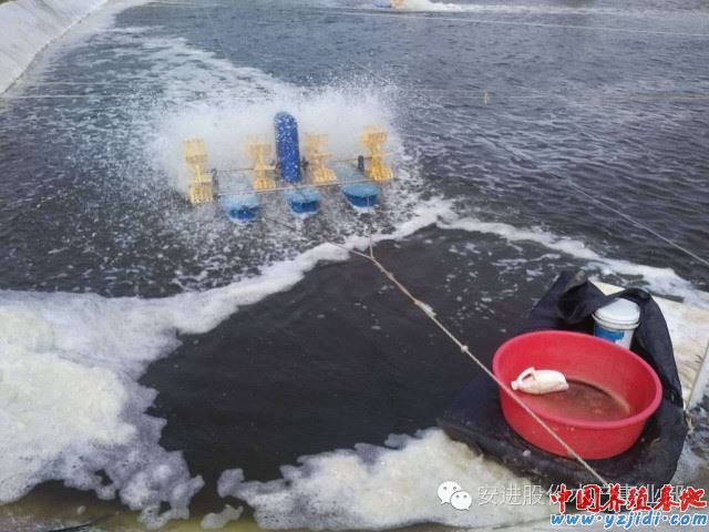 中國養殖基地 yzjidi.com