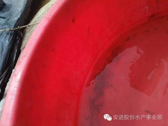 中國養殖基地 yzjidi.com