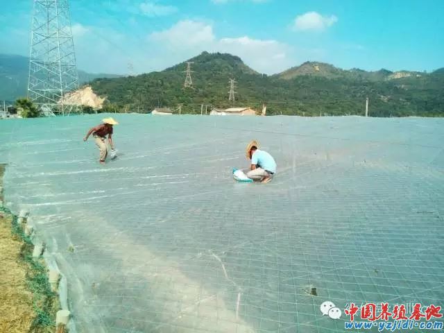 中國養殖基地 yzjidi.com