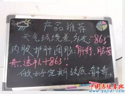 中國養殖基地 yzjidi.com