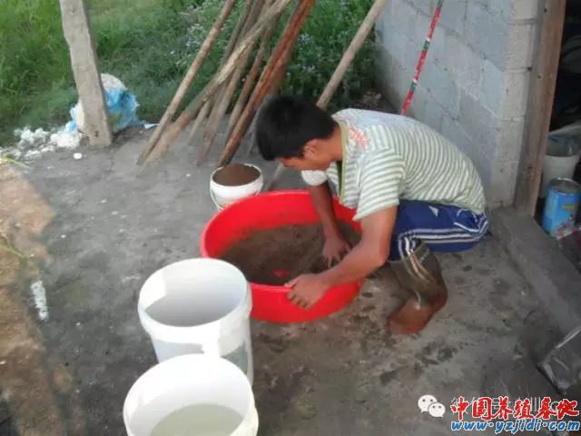 中國養殖基地 yzjidi.com
