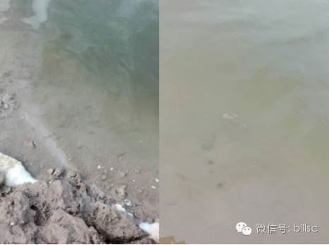 中國養殖基地 yzjidi.com