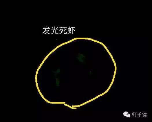 中國養殖基地 yzjidi.com