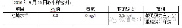 中國養殖基地 yzjidi.com