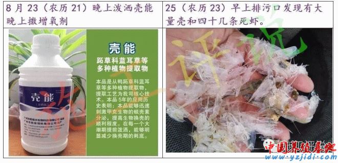 中國養殖基地 yzjidi.com