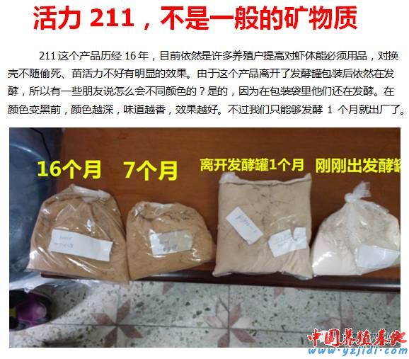 中國養殖基地 yzjidi.com