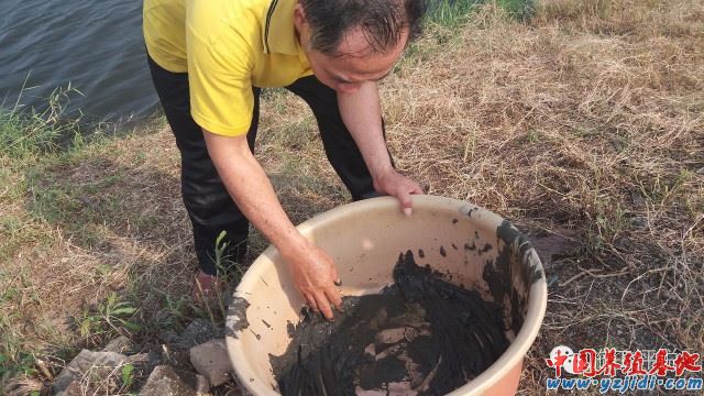 中國養殖基地 yzjidi.com