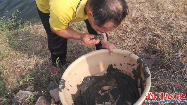 中國養殖基地 yzjidi.com