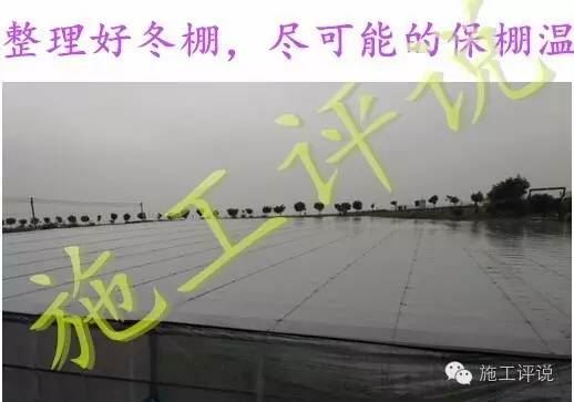 中國養殖基地 yzjidi.com