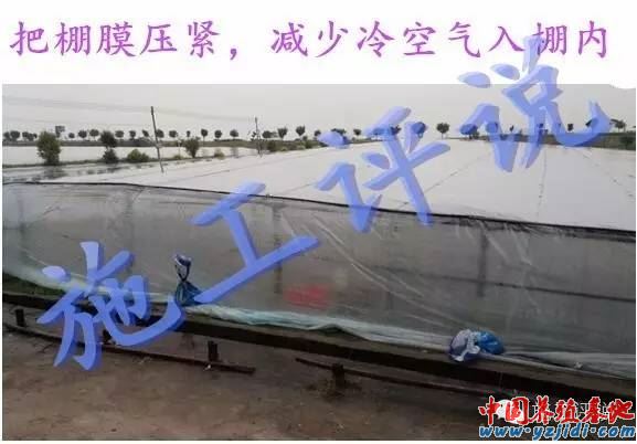 中國養殖基地 yzjidi.com