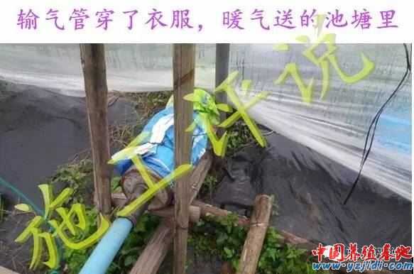 中國養殖基地 yzjidi.com