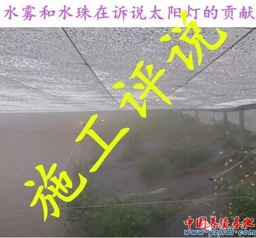 中國養殖基地 yzjidi.com
