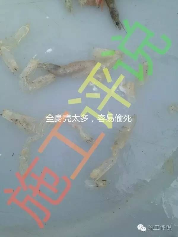中國養殖基地 yzjidi.com