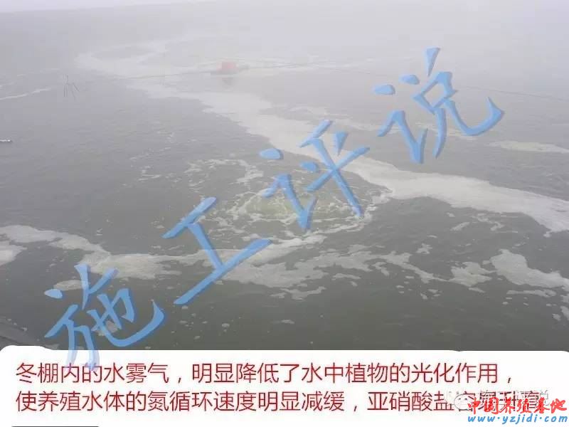 中國養殖基地 yzjidi.com