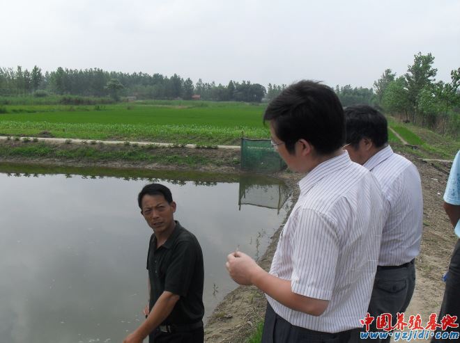 中國養殖基地 yzjidi.com