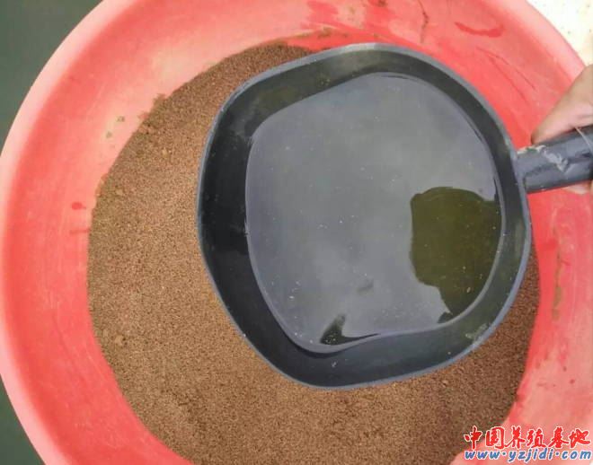 中國養殖基地 yzjidi.com