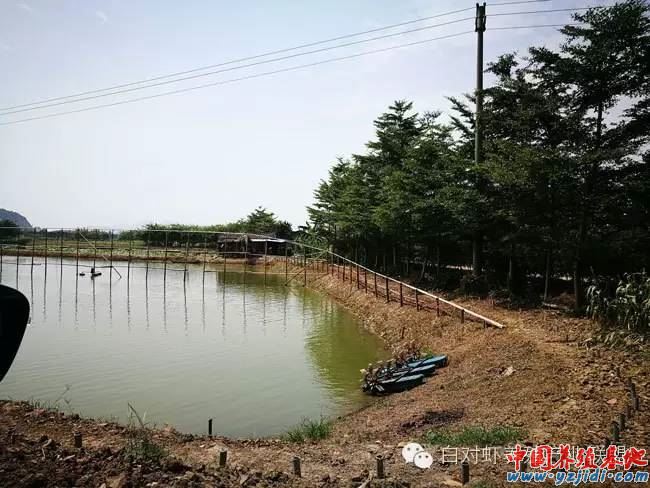 中國養殖基地 yzjidi.com