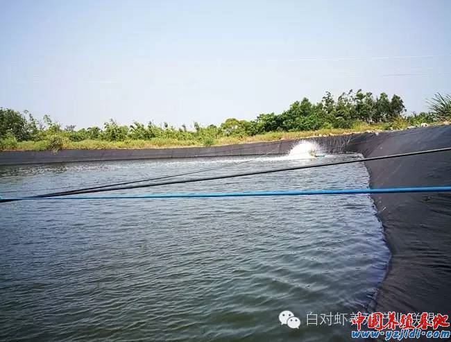 中國養殖基地 yzjidi.com