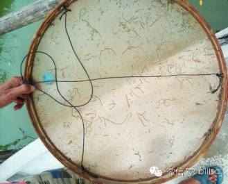 中國養殖基地 yzjidi.com