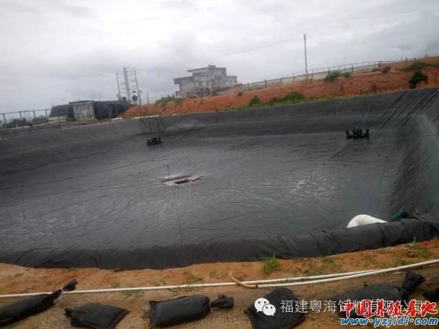 中國養殖基地 yzjidi.com