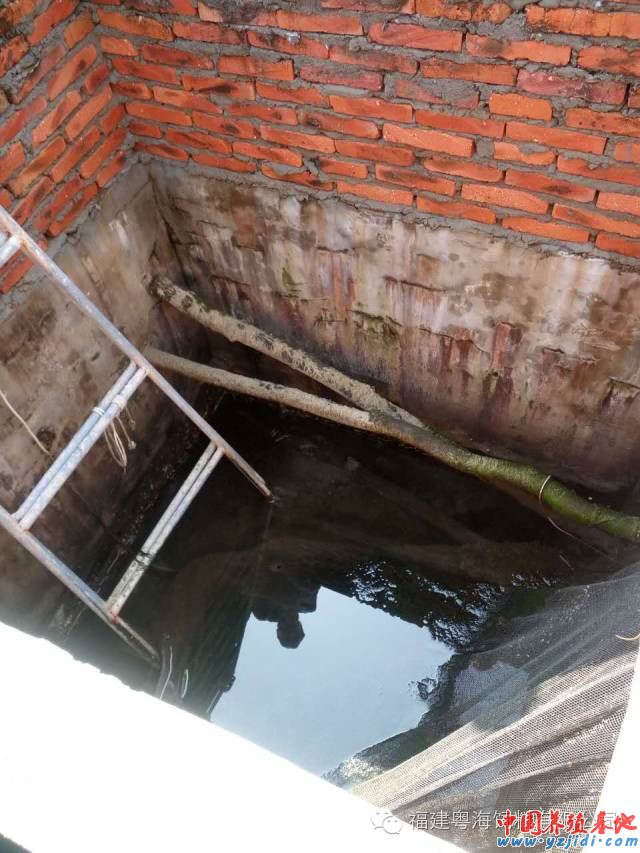 中國養殖基地 yzjidi.com