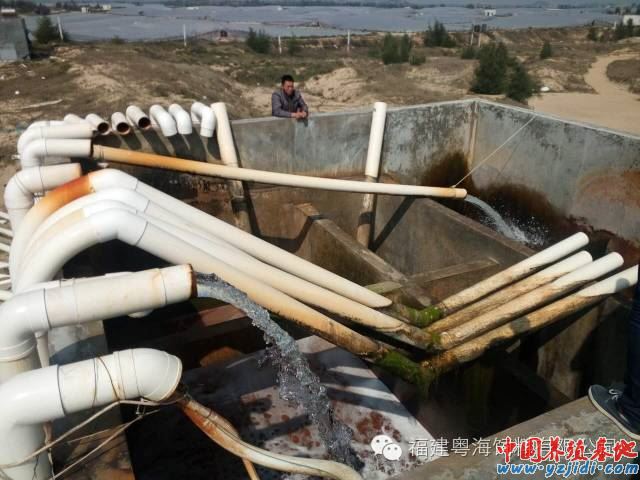 中國養殖基地 yzjidi.com