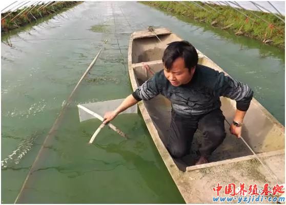 中國養殖基地 yzjidi.com