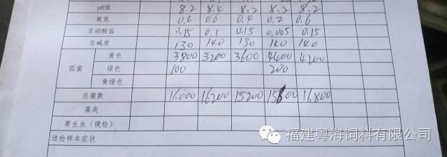 中國養殖基地 yzjidi.com