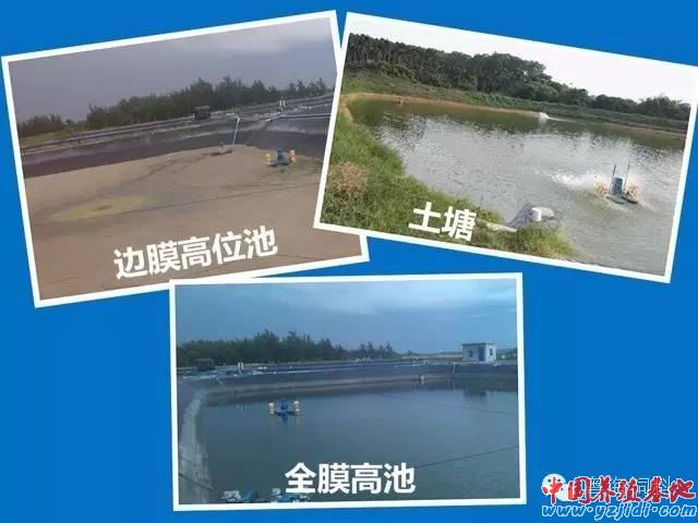 中國養殖基地 yzjidi.com