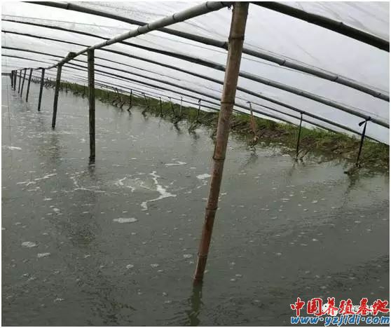 中國養殖基地 yzjidi.com