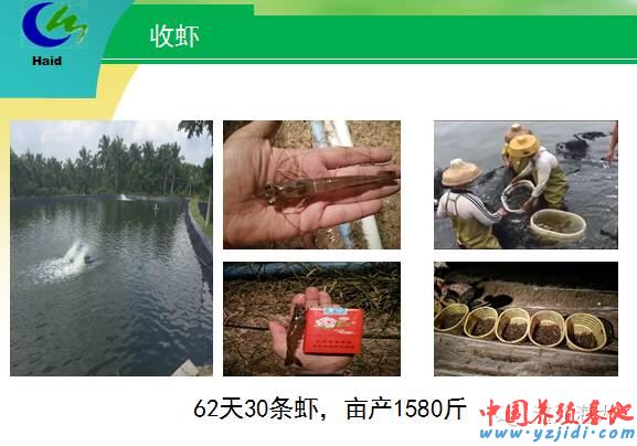 中國養殖基地 yzjidi.com