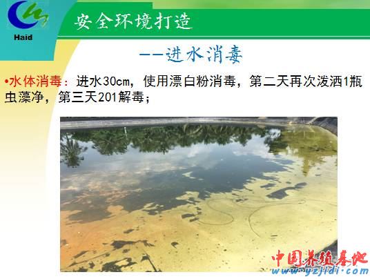 中國養殖基地 yzjidi.com