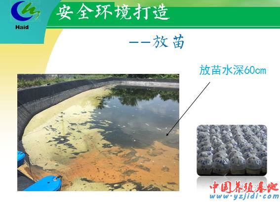 中國養殖基地 yzjidi.com